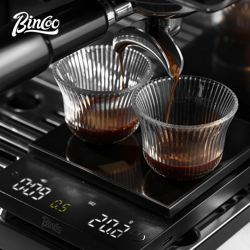 Bilancia Digitale per Caffè BI - Kitchen Timer Digital recensione e prezzo
